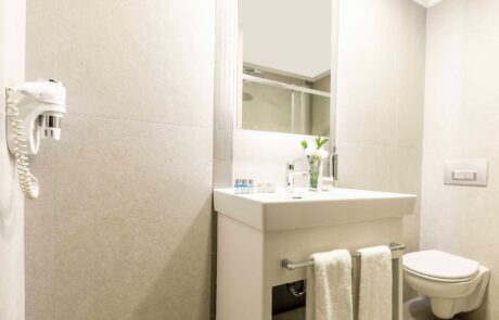 Family Room Bathroom